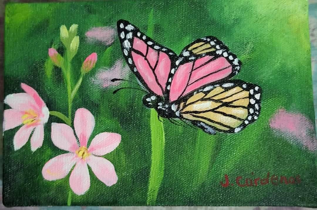 Colección Naturaleza